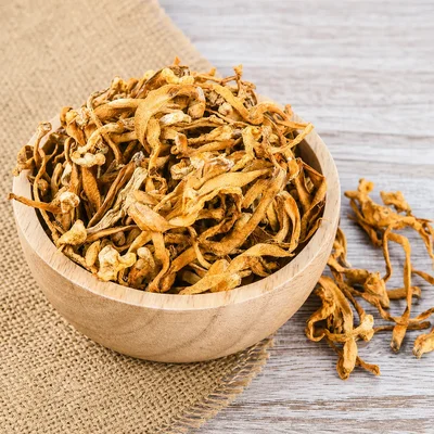 Cordyceps extracto para rendimiento físico